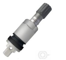 TPMS ventil pro senzor tlaku ORANGE (OG-03) hliníkový šedý TPMS ventil pro senzor tlaku ORANGE (OG-03) hliníkový šedý