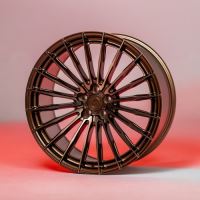 Xcvr10-Brushed bronze (5) (4)