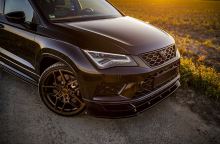 cvr5_brushed_bronze_Seat (2)