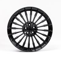 Xcvr10-Platinum black (4) (1)